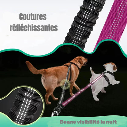 Laisse Double pour Chiens