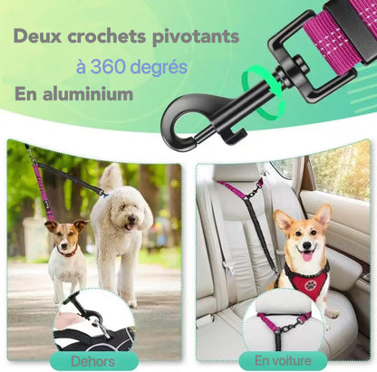 Laisse Double pour Chiens