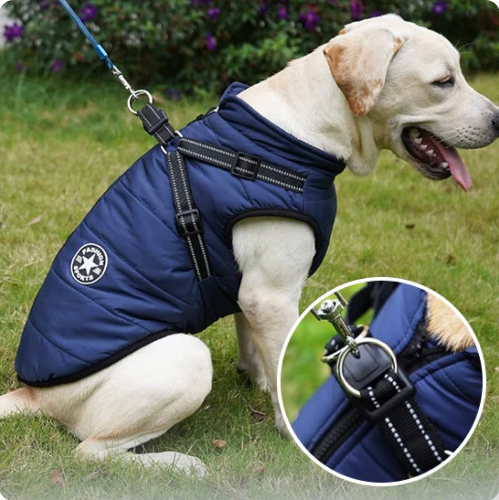 Manteau Chien Confort Hivernal