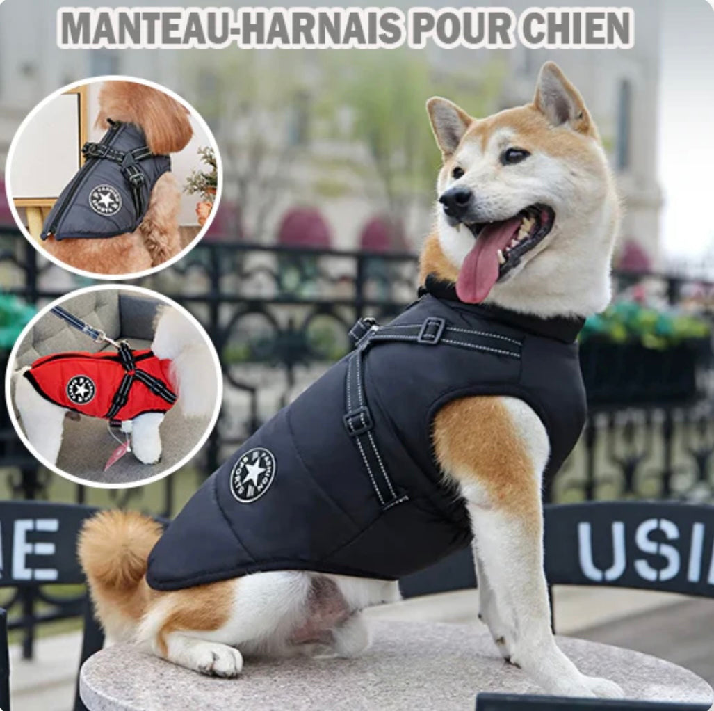 Manteau Chien Confort Hivernal